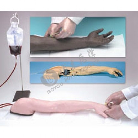 精裝靜脈注射及穿刺手臂模型