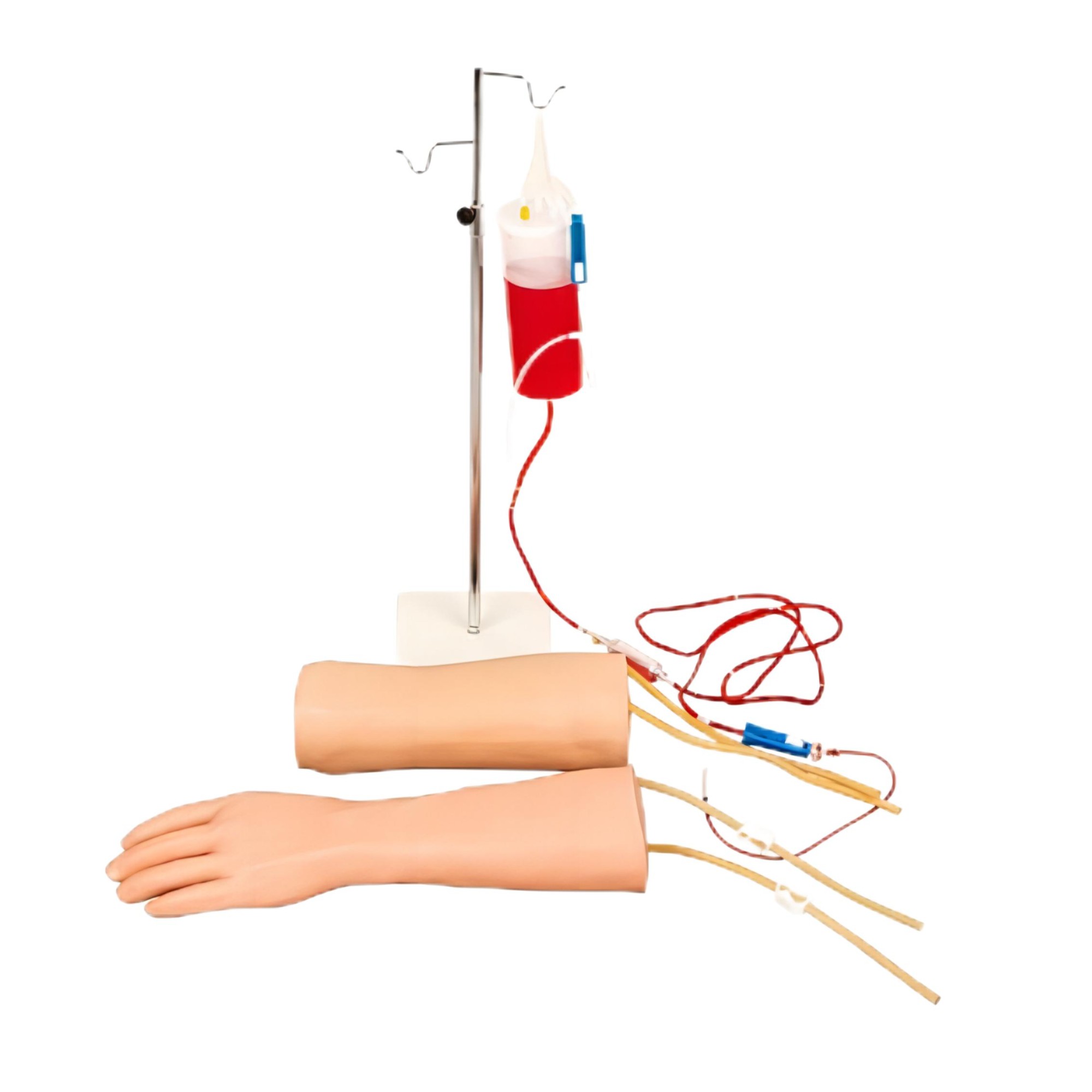 手部、肘部組合式靜脈輸液（血）訓練模型